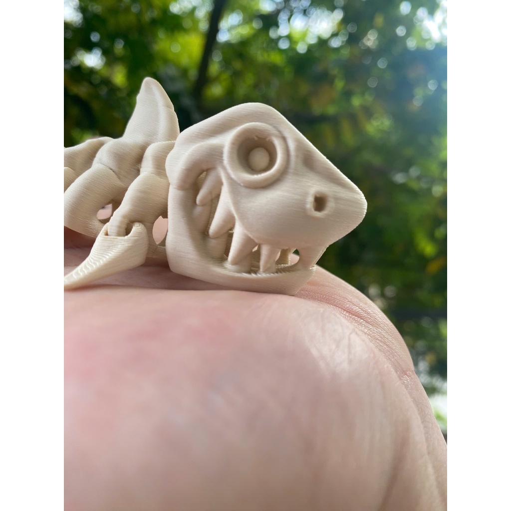 Móc Khoá Xương Cá Mập in 3D Khớp Cử Động Cực Đã - Độc Lạ Dễ Thương - in 3D Nhựa PLA An Toàn