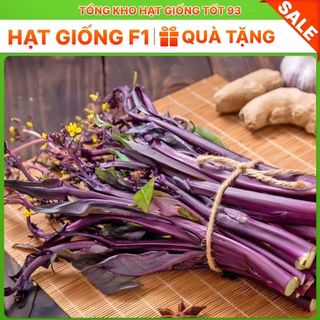 Hạt Giống Rau Cải NGỒNG TÍM Thu Hoạch Dược Nhiều Lần, Dễ Trồng, Rất Ngon, hàng công ty Loại 1