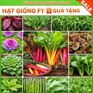 Hạt giống rau thơm, rau gia vị, rau củ quả các loại trồng quanh năm nảy mầm tốt (hàng F1)