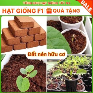 Combo Chậu + Đất trồng cây + phân trùn quế + viên nén xơ dừa - trồng rau củ quả hạt giống