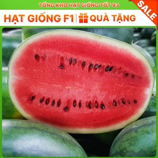 Hạt giống Dưa hấu F1 1gram hàng công ty Loại 1