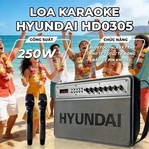 Loa HYUNDAI Loa Karaoke Xách Tay HD0305, Công Suất Lớn 250W Đèn Led RGB Kèm 2 Micro AUX TP Card USB