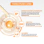 Combo Serum Giảm Thâm Và Làm Sáng Da Niacinamide+ VitaminC Balance Active Formula 30ml/ chai