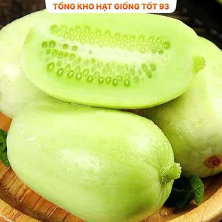 Hạt Giống Dưa Leo Ngọc Nữ - Hàng Công Ty Loại 1