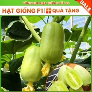 Hạt Giống Dưa Leo Ngọc Nữ - Hàng Công Ty Loại 1