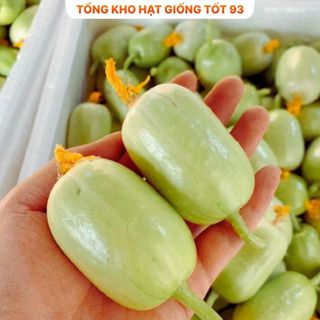 Hạt Giống Dưa Leo Ngọc Nữ - Hàng Công Ty Loại 1
