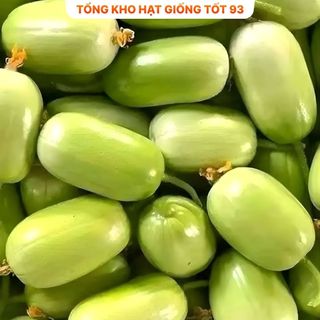 Hạt Giống Dưa Leo Ngọc Nữ - Hàng Công Ty Loại 1