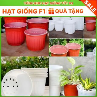 Chậu nhựa trồng hoa (kích thước 20x15cm, nên mua từ 5 chậu gửi ko bị móp) shop lấy màu ngẫu nhiên Loại 1