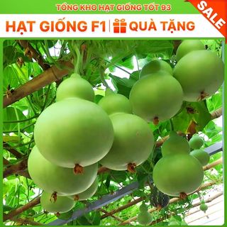 Hạt giống bầu hồ lô cao sản  năng  Suất - hàng công ty loai 1