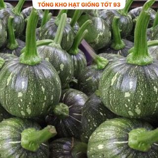 Hạt Giống Bí Ăn Non Siêu Quả - Hàng Công Ty Loại 1