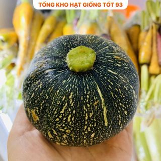 Hạt Giống Bí Ăn Non Siêu Quả - Hàng Công Ty Loại 1