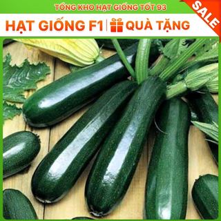 Hạt giống Bí Ngòi Dài - hàng công ty Loại 1