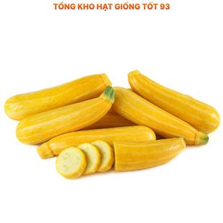 Hạt giống bí ngòi vàng  năng suất cao -Hàng công ty loại 1