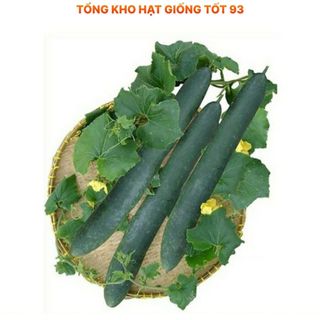 Hạt giống Bí Sặt Xanh 1gram - hàng công ty Loại 1
