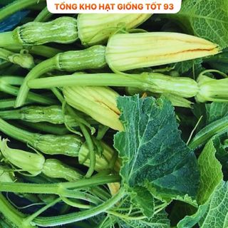 Hạt giống Bí siêu ngọn năng suất 20gr - hàng công ty Loại 1