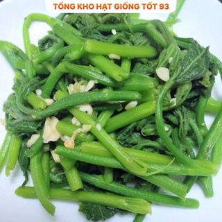 Hạt giống Bí siêu ngọn năng suất 20gr - hàng công ty Loại 1
