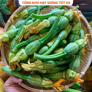 Hạt giống Bí siêu nụ hàng chính hãng - công ty Loại 1