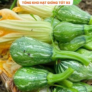 Hạt giống Bí siêu nụ hàng chính hãng - công ty Loại 1