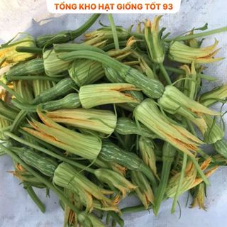 Hạt giống Bí siêu nụ hàng chính hãng - công ty Loại 1