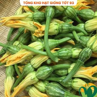 Hạt giống Bí siêu nụ hàng chính hãng - công ty Loại 1