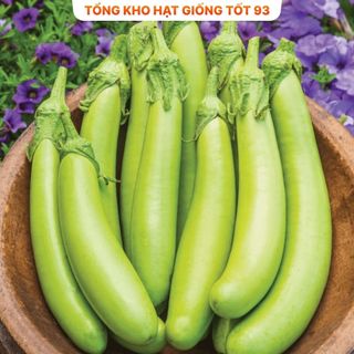 Hạt giống cà xanh mỡ trái dài dễ trồng- Hàng Công Ty Loại 1