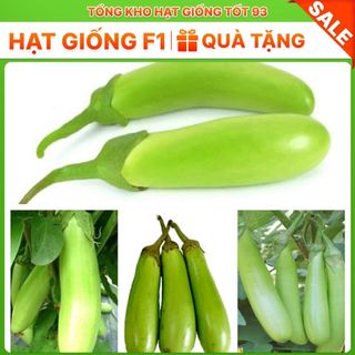 Hạt giống cà xanh mỡ trái dài dễ trồng- Hàng Công Ty Loại 1