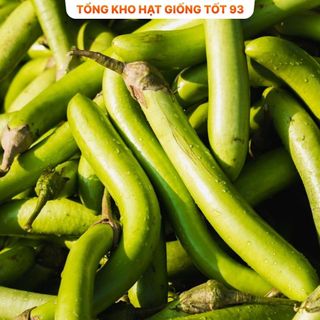 Hạt giống cà xanh mỡ trái dài dễ trồng- Hàng Công Ty Loại 1