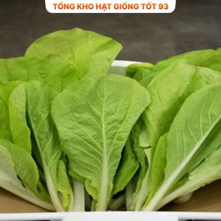 Hạt giống rau Cải bẹ vàng gói 20gram - hàng công ty Loại 1
