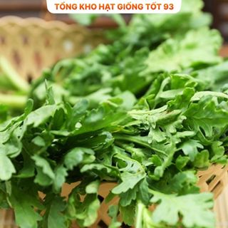 Hạt giống Cải Cúc Tẻ - hàng công ty Loại 1