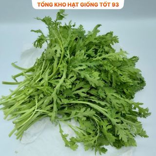 Hạt giống Cải Cúc Tẻ - hàng công ty Loại 1