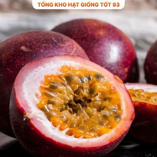 Hạt giống Chanh leo - hàng công ty Loại 1