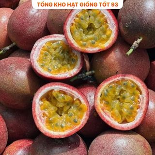 Hạt giống Chanh leo - hàng công ty Loại 1