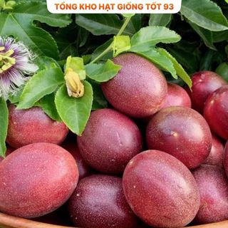 Hạt giống Chanh leo - hàng công ty Loại 1