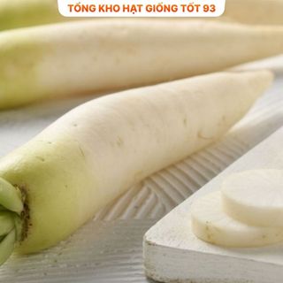 Hạt giống củ cải lu bú, củ cải trắng - Hàng Công Ty Loại 1