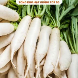 Hạt giống củ cải lu bú, củ cải trắng - Hàng Công Ty Loại 1