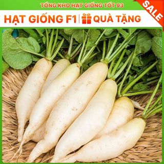 Hạt giống củ cải lu bú, củ cải trắng - Hàng Công Ty Loại 1
