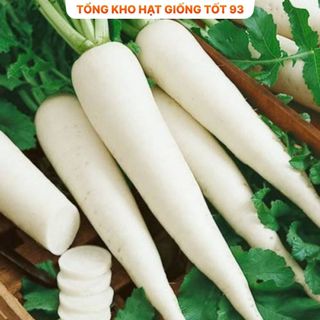 Hạt giống củ cải lu bú, củ cải trắng - Hàng Công Ty Loại 1