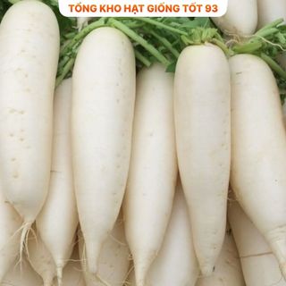 Hạt giống củ cải lu bú, củ cải trắng - Hàng Công Ty Loại 1