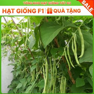 Hạt giống đậu cove leo gói lớn dành cho nhà vườn gói 500gr- 2kg- hàng công ty loại 1