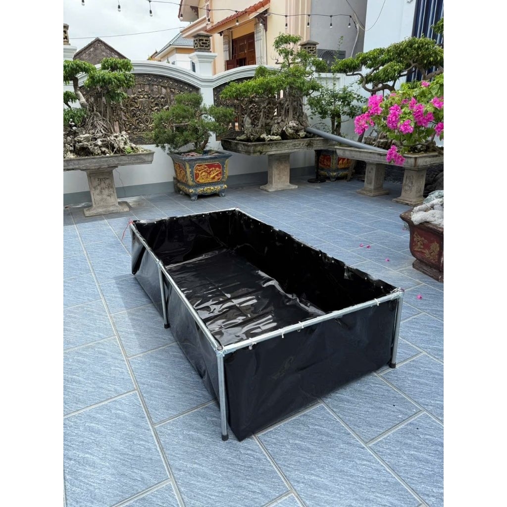 Bể bạt có khung và không có khung nuôi ốc ếch cá lươn