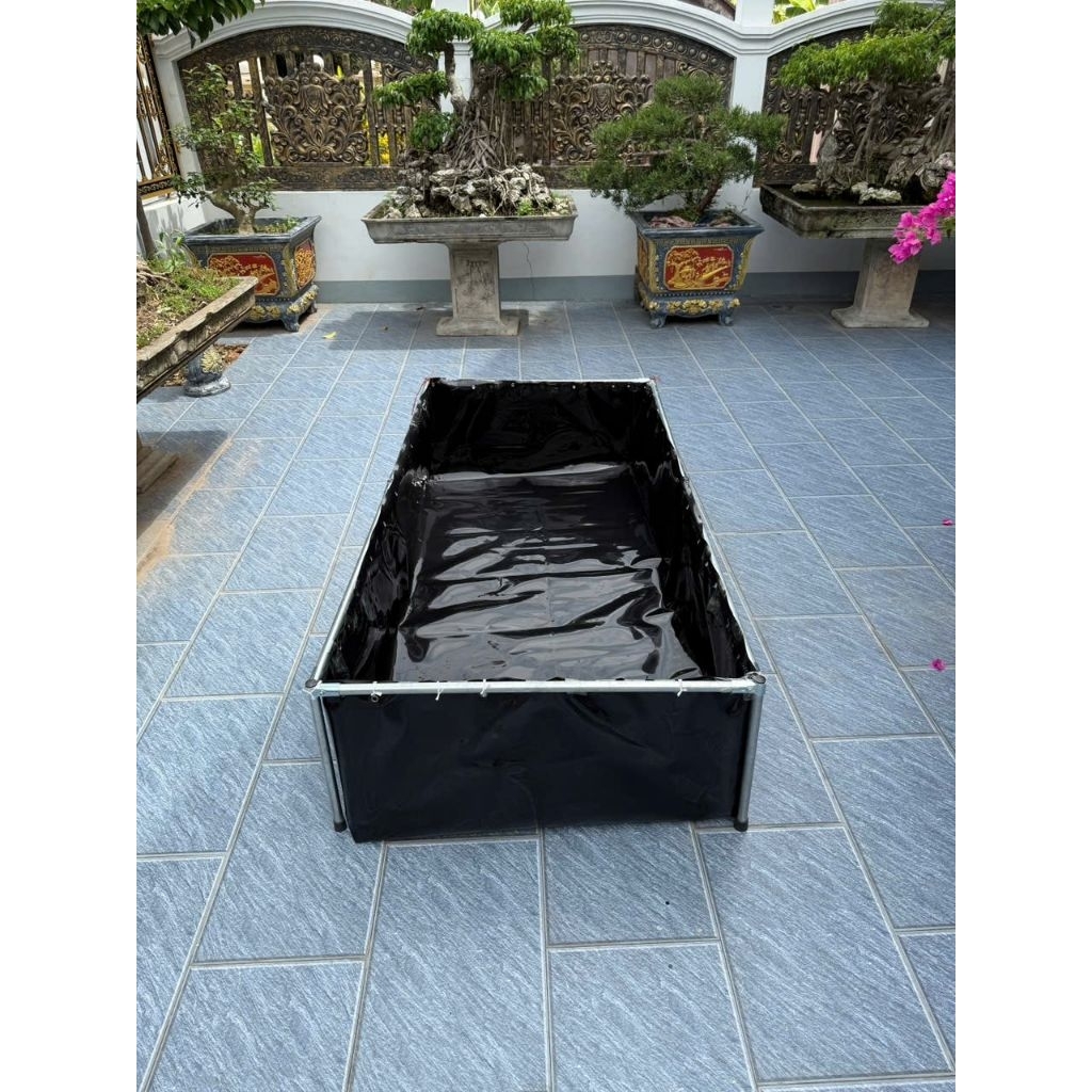 Bể bạt có khung và không có khung nuôi ốc ếch cá lươn