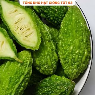Hạt giống Mướp đắng Rừng hàng - công ty loại 1