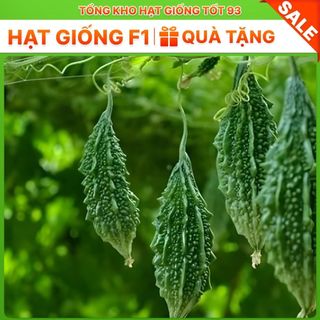 Hạt giống Mướp đắng Rừng hàng - công ty loại 1