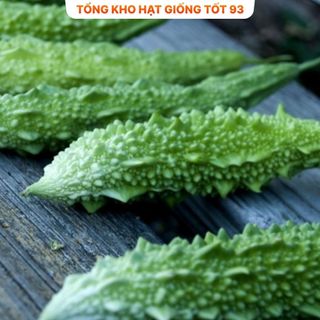 Hạt giống Mướp đắng Rừng hàng - công ty loại 1