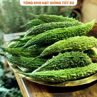Hạt giống Mướp đắng Rừng hàng - công ty loại 1