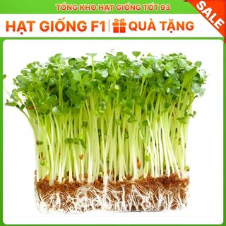 Hạt giống rau mầm củ cải trắng ăn ngon gói 20gr hàng công Ty , Loại 1