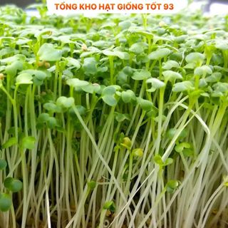 Hạt giống rau mầm củ cải trắng ăn ngon gói 20gr hàng công Ty , Loại 1