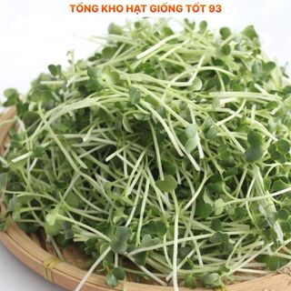 Hạt giống rau mầm củ cải trắng ăn ngon gói 20gr hàng công Ty , Loại 1