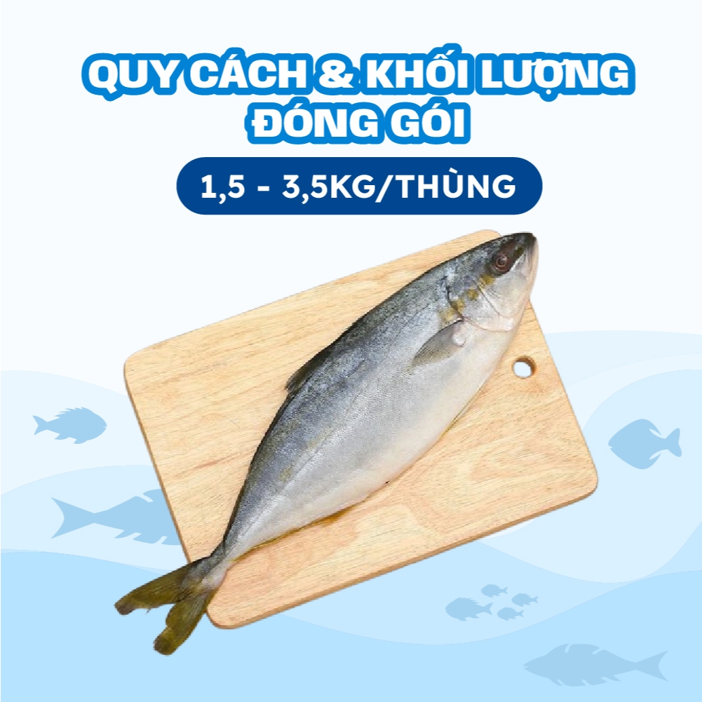 [HỎA TỐC HCM] Cá cam nguyên con Thế Giới Hải Sản nhập khẩu Hàn Quốc cáp đông bằng công nghệ IQF giữ độ tươi tự nhiên