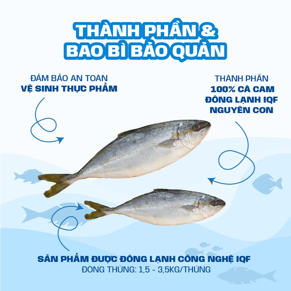 [HỎA TỐC HCM] Cá cam nguyên con Thế Giới Hải Sản nhập khẩu Hàn Quốc cáp đông bằng công nghệ IQF giữ độ tươi tự nhiên